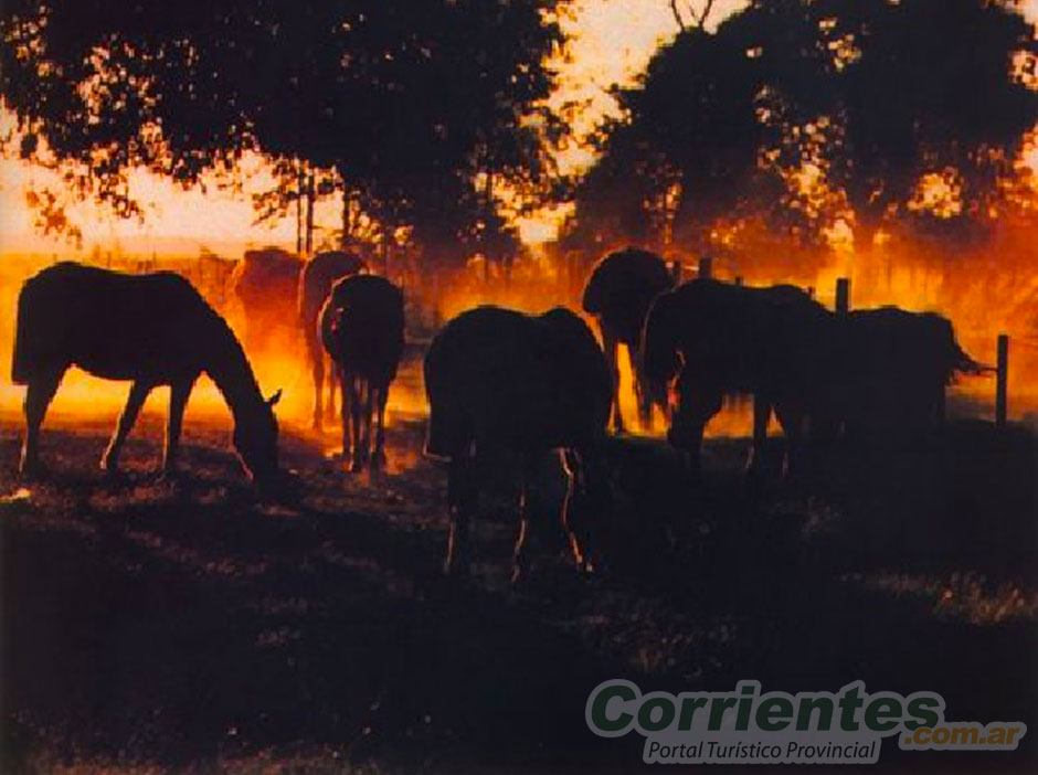 Turismo Rural de Goya - Imagen: Corrientes.com.ar