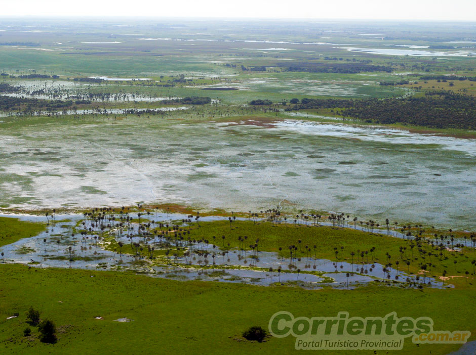 Esteros del Iberá en Corrientes - Imagen: Corrientes.com.ar