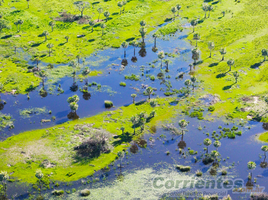Esteros del Iberá en Corrientes - Imagen: Corrientes.com.ar